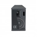 Satellite passif 100 W RMS