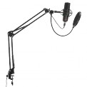 MICROPHONE PROFESSIONNEL ELECTRET CARDIOIDE ANTI-CHOCS