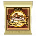 EARTHWOOD ACOUSTIC GUITAR STRINGS MEDIUM LIGHT 12-16-24-32-44-54